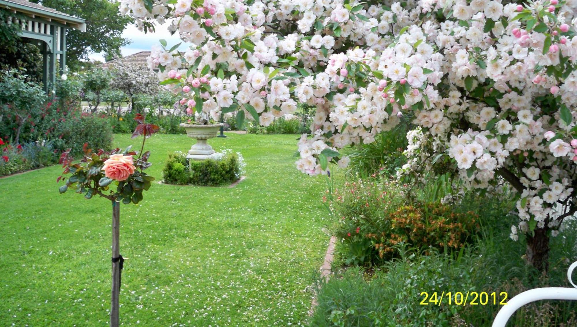 Dalfruin B&B Bairnsdale Εξωτερικό φωτογραφία
